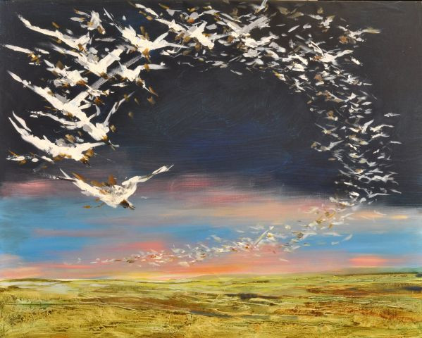 Frits van Eeden + Seagulls in dutch landscape